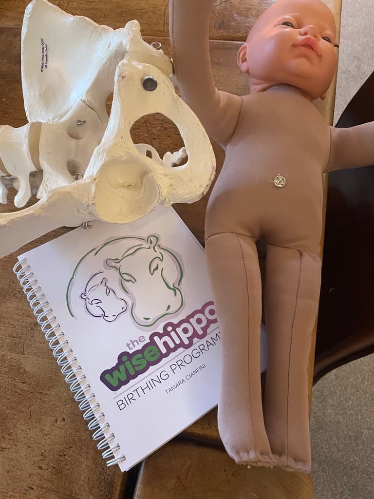 Wise Hippo hypnobirthing book and pelvis model